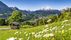 Sommerurlaub in den Bergen - Jetzt Bergurlaub günstig buchen! Sommerurlaub in den Bergen - Jetzt Bergurlaub günstig buchen!