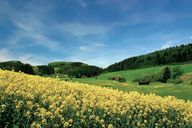 Nordrhein-Westfalen Nordrhein-Westfalen