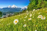Sommerreisen einbuchen Sommerreisen einbuchen