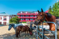 Familienhotel Reiterhof Runding