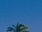 Urlaub Reisen
 Spanien Balearen El Arenal