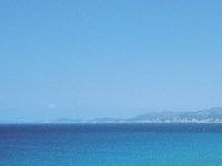 Urlaub Reisen
 Spanien Balearen Playa de Palma Hotel Oleander.